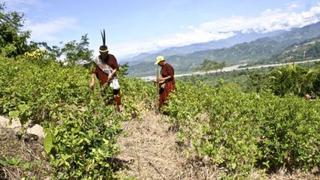 Agrobanco destinará S/. 40 millones para financiar plantas industriales en Loreto