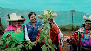 Sierra Exportadora busca incrementar envíos de berries peruanos