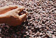 Solo el cacao de Piura y San Martín se verían afectados por restricciones de la UE