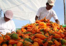 Minagri: Con Mi Agro, pseudoempresarios ya no afectarían el crédito agrario