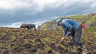 Nueva licitación para fertilizantes tomará entre 70 y 80 días, alerta exministro de Agricultura