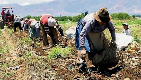 Agricultura peruana sigue golpeada. (Foto: GEC)