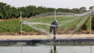 Produce capacitará en acuicultura a pescadores artesanales de Talara