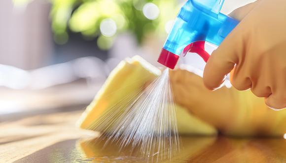 Empresa atendió el año pasado un 60% de sus ventas directas a viviendas, con soluciones de limpieza.