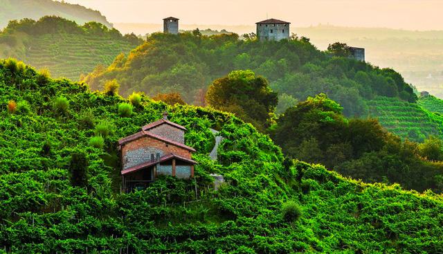 FOTO 14 | Le Colline del Prosecco di Conegliano y Valdobbiadene, Italia. Ubicado en el noreste de Italia, el sitio incluye parte del paisaje vitícola del área de producción de vino de Prosecco. Durante siglos, este terreno ha sido moldeado y adaptado por el hombre. Foto: unesco.org.