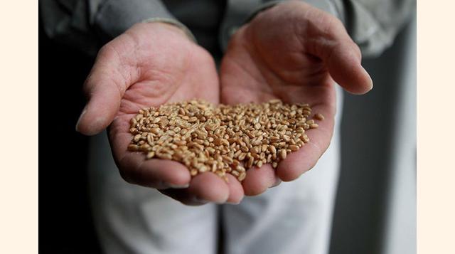 Cereal. John and Will Kellogg, hermanos y empresarios de desayuno.  En 1898, los hermanos intentaban hervir granos para hacer granola. De forma accidental dejaron una taza de granos cocidos en la estufa durante varios días. La mezcla se volvió mohosa, per