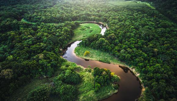 Es en nuestra Amazonía donde se encuentra uno de los mayores stocks de activos biológicos del mundo. (Foto: ISTOCK)
