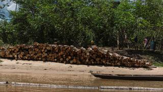 Estudio de la USAID: El 37% de la madera que se extrae de los bosques peruanos es ilegal