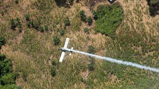 Alemania eliminará uso del glifosato a fines del 2023