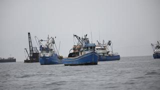 Triángulo marítimo podría elevar en 15% potencial económico de la pesca