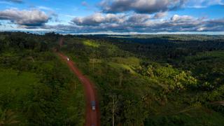 Colombia perdió en 2018 tanto bosque como dos veces la superficie de Berlín