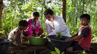 Plantalámpara: Diez datos sobre el sistema que genera energía con nutrientes de plantas