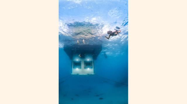 Por las ventanas del dormitorio, que dan una visión de 360 grados, se aprecian mantas, rayas, tortugas, crustáceos, peces de colores y otras especies. (Foto: Zillamag)