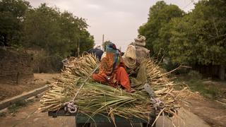 Pandemia en India agudiza una de las peores brechas de género