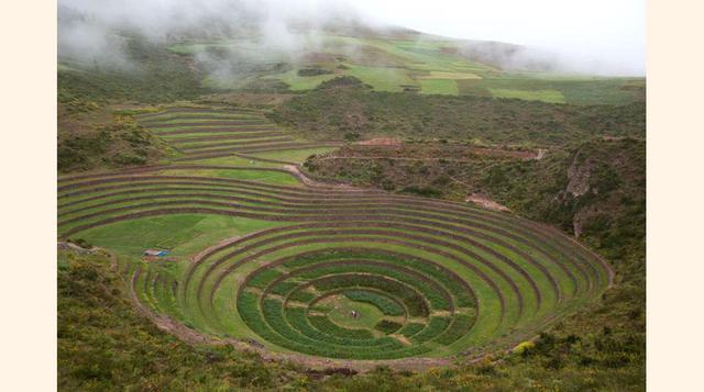 Andenería en Moray, Cusco.(foto:PromPerú).