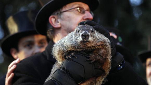 La marmota Phil es la encargada de pronosticar si habrá, o no, un invierno largo en EE.UU. (Foto: EFE)