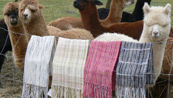 La fibra de alpaca es un producto bandera para Perú, a lo largo de toda su cadena de valor involucra a más de 150,000 familias. (Foto: elcomercio.pe)