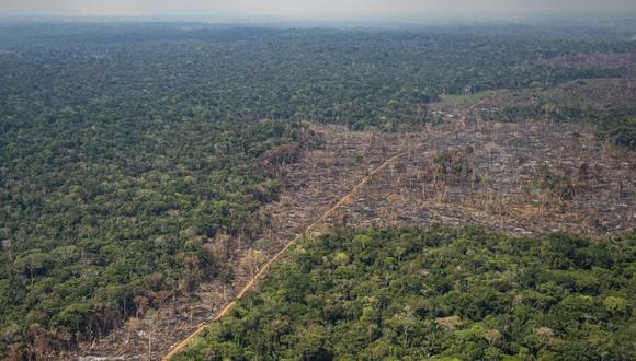 El aumento de la deforestación se debe, por un lado, a la temporada seca agravada por el fenómeno de El Niño (Foto: difusión)