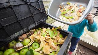 Lanzan campaña para reducir "inmoral" desperdicio de alimentos en América Latina