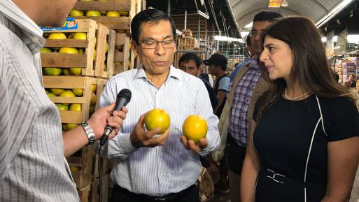 “No habría mayores impactos en caso de costa norte y en cuanto a frío en zona sur”, indicó José Hernandez (Foto: Andina).