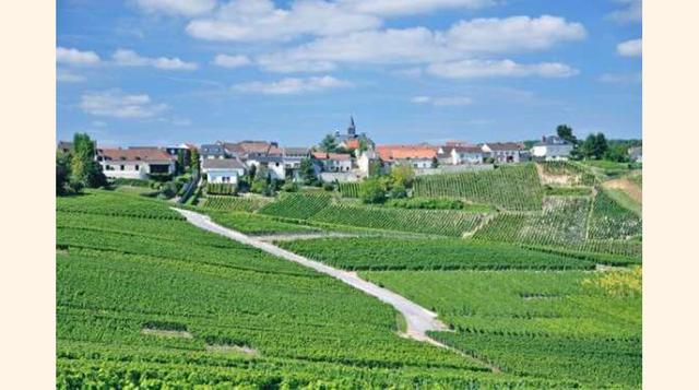 CHAMPAÑA, FRANCIA. Hacer una excursión por esta región de Francia puede ser una experiencia inigualable, ya que descubrirás viñedos de gran belleza, bodegas, monumentos pertenecientes al Patrimonio Mundial de la Unesco, ríos, montañas. Además podrás proba
