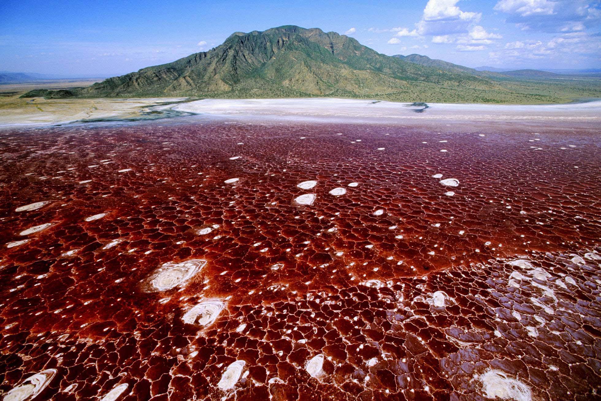 Lago Natron (Tanzania).  Sus aguas tienen un pH tan alto y son tan cáusticas que queman la piel y los ojos de las criaturas que no están adaptadas a este medio tan extremo. Pero en el Natron hay vida: un pez en peligro de extinción llamado ‘alcolapia alcalica