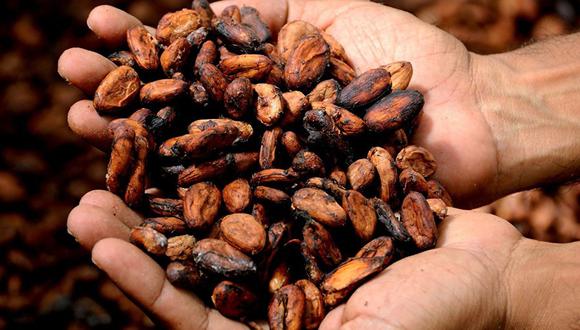 Brasil produjo cerca de 1,900 toneladas de cacao orgánico en el 2018.