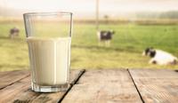 Producción de leche en Perú aumentó en casi 100,000 toneladas el último año