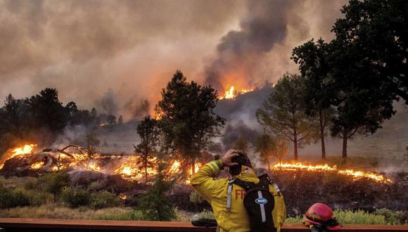 Al menos una docena de bodegas del valle del Napa en California ardieron desde que estalló este incendio, que esta semana devastó más de 20,000 hectáreas. (Foto: AP).
