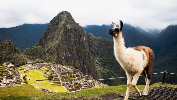 El titular del Ministerio de Comercio Exterior y Turismo (Mincetur) de Perú, Juan Carlos Mathews Salazar, comentó a Gestión las expectativas para el turismo en el país. (Foto: Junior Moran)