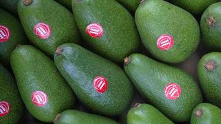 Palta Hass: se retrasa decisión de compradores de EE.UU. para aumentar pedidos a Perú