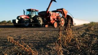 Nuevas lluvias marcarán fin de sequía para campos de maíz y soja argentinos