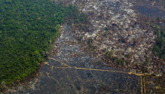 Vista aérea de la deforestación en la Reserva Biológica Nascentes da Serra do Cachimbo en Altamira, estado de Pará, Brasil. (AFP)
