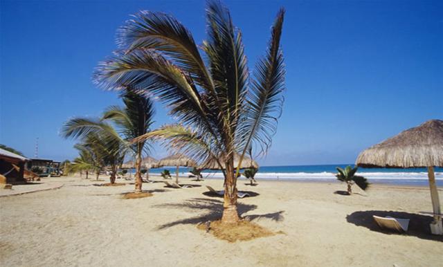 La octava ciudad más visitada por los turistas latinoamericanos fue Tumbes. (Foto: Andina)