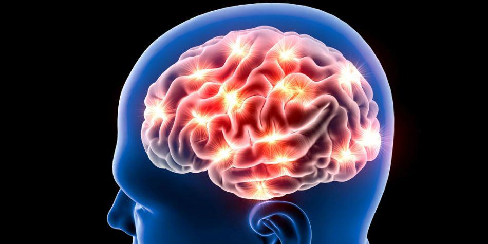 La capacidad de aprender es más que construir y fortalecer las conexiones neuronales. (Foto: Shutterstock)