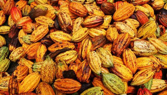 Cacao. (Foto: Getty Images).