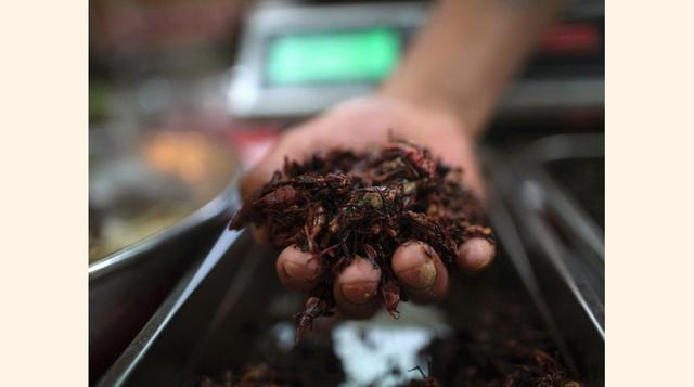 Los saltamontes son parte de la dieta de los mexicanos desde hace cientos de año. (Foto: Getty).