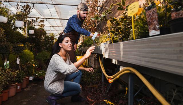 FOTO 7 | En el séptimo lugar se ubicó la carrera de Agronomía, que también registró una descenso del 9% en cuanto a salarios. (Foto: Freepik)