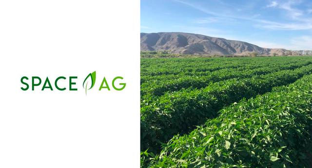 FOTO 6 | 6. Space AG. Es una plataforma digital de gestión de cultivos de alto valor que integra data extraída por drones, satélites y sensores para la creación de modelos utilizando Inteligencia Artificial, que ayuden a los agricultores a detectar anomalías en el campo. (Foto: Facebook)