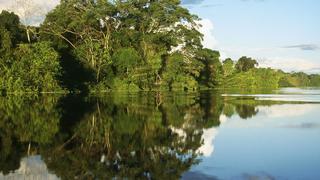 Gobierno transfiere S/ 55.4 millones a sectores ambiental, educación e inclusión social