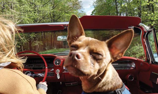 Hagerty fue quien nos prestó (a mi compañero, DJ Louie XIV y a mí) el auto.