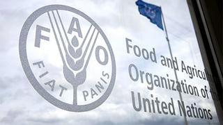 Más de 40 países piden reunión urgente de FAO para tratar crisis de Ucrania