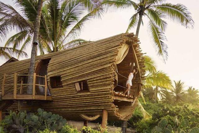 Playa Viva, Juluchuca, México. En el otoño pasado, este pequeño refugio ecológico en la costa del pacífico mexicano a solo 35 minutos al sur de Zihuatanejo, inauguró una casa de árbol cilíndrica como un tipo de experimento. Todo el complejo está enfocado 
