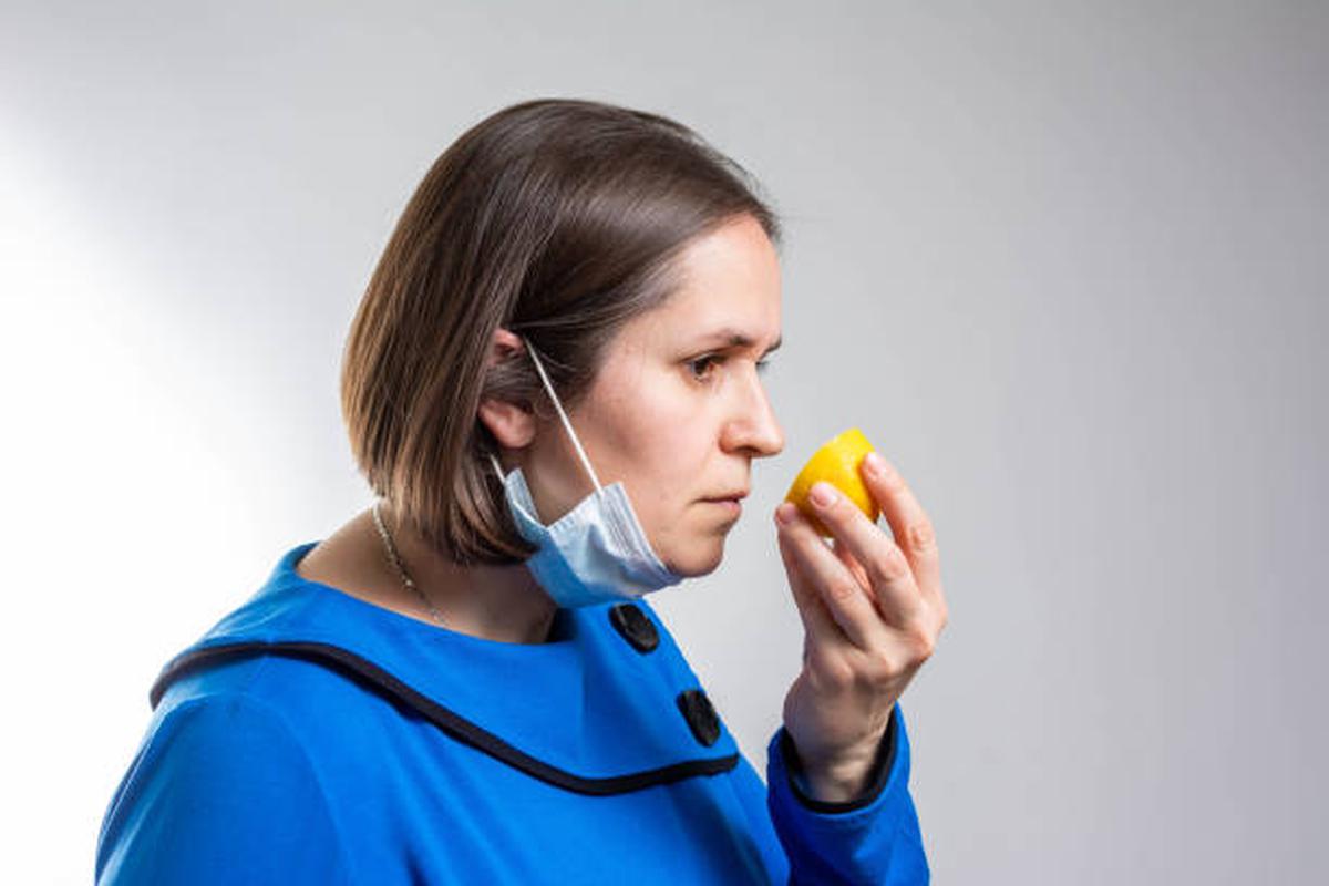La pérdida de olfato por COVID sería consecuencia de la inflamación nerviosa y no del virus