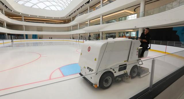 FOTO 6 | Los sitios de entretenimiento ocupan más de la mitad de su espacio, incluidas atracciones como un corral con conejos y un aviario. También habrá un sitio donde cuidan perros y un ala de lujo, donde los visitantes pueden tomar champagne y comer caviar mientras esperan que les envuelvan sus carteras de diseñadores caros. (Foto: Shoshy Ciment/Business Insider)