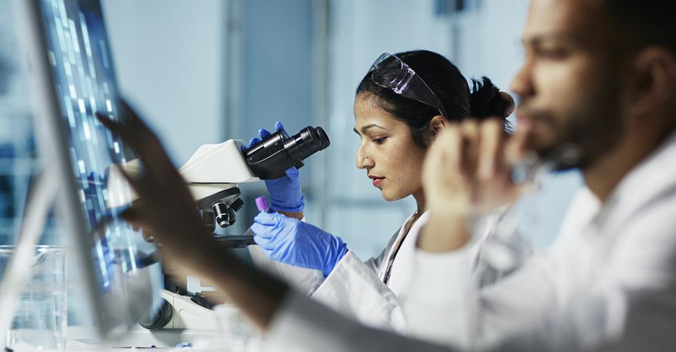 Cuales Son Los Diversos Tipos De Investigacion Cientifica Y Sus Caracteristicas Fotogalerias Gestion