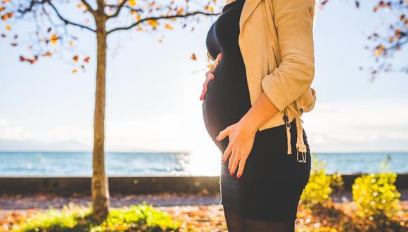 Los hallazgos muestran que el embarazo cambia la estructura de ciertos azúcares unidos a los anticuerpos. (Foto: Referencial | Pixabay)