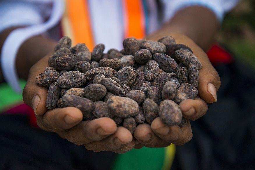 El cacao peruano estuvo presente en Coteca, una feria internacional para productos agrícolas como el café y el té. (Foto: Difusión)