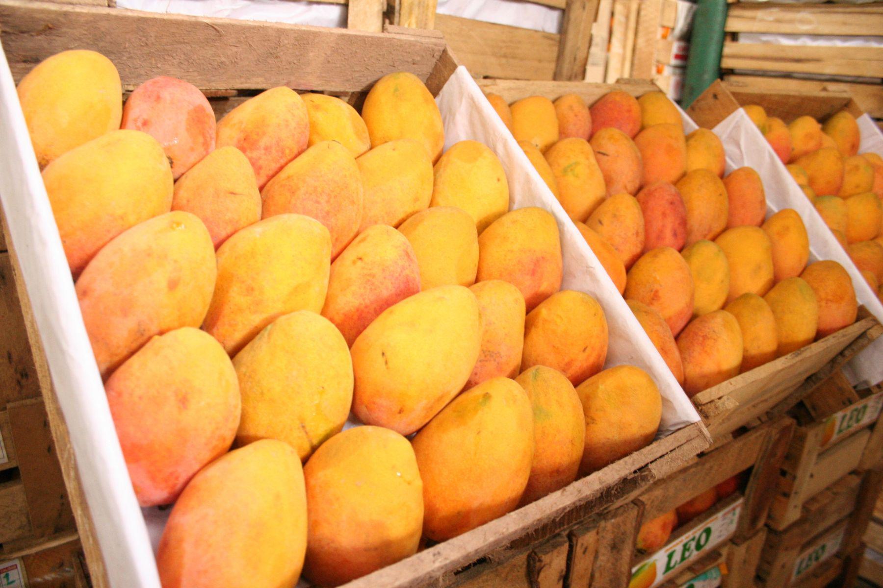 La campaña de mango se encuentra en el tramo final. (Foto: Andina)