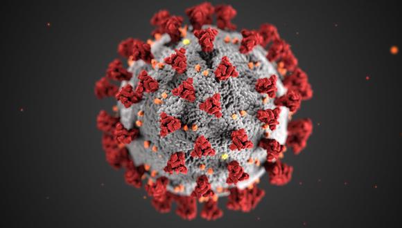 El virus apareció a finales del 2019 y es difícil predecir cómo se comportará en el largo plazo. (Foto: CDC / Alissa Eckert/CDC / Alissa Eckert)